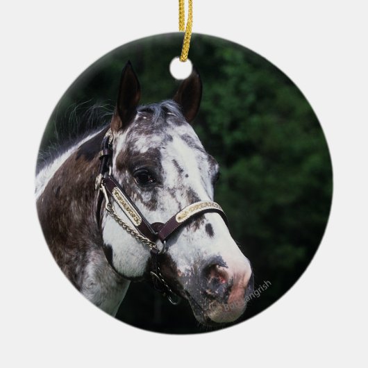 Appaloosa-PferdeHeadshot 2 Keramikornament (Vorne)