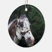 Appaloosa-PferdeHeadshot 2 Keramikornament (Links)