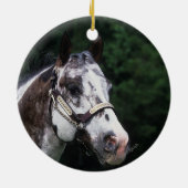 Appaloosa-PferdeHeadshot 2 Keramikornament (Hinten)