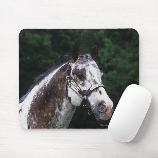 Appaloosa-PferdeHeadshot 2 Mousepad (Mit Mouse)