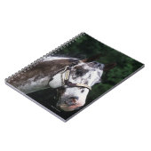 Appaloosa-PferdeHeadshot 2 Notizblock (Linke Seite)