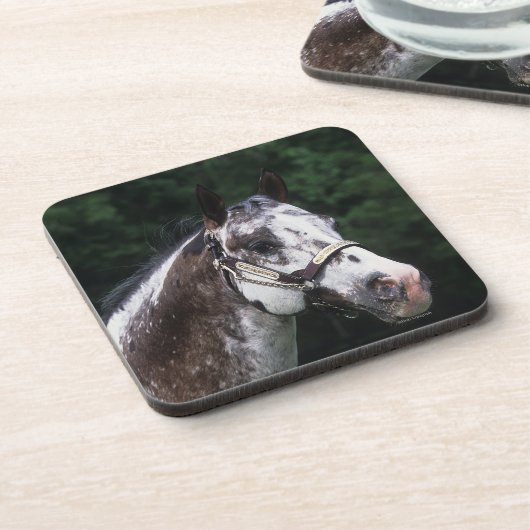 Appaloosa-PferdeHeadshot 2 Untersetzer (Linke Seite)