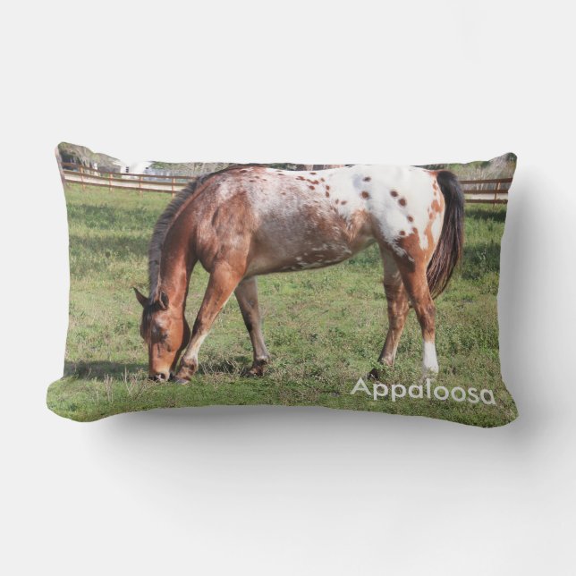 Appaloosa Pferdekissen Lendenkissen (Vorderseite)