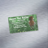 Appaloosa Pony Magnetische Visitenkarte (Beispiel)