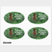 Appaloosa Pony Ovaler Aufkleber (Blatt)