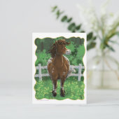 Appaloosa Pony Postkarte (Stehend Vorderseite)