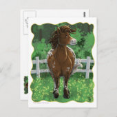 Appaloosa Pony Postkarte (Vorne/Hinten)