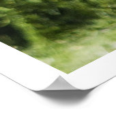 Appaloosa-Portrait, Pferdefotografie Poster (Ecke)