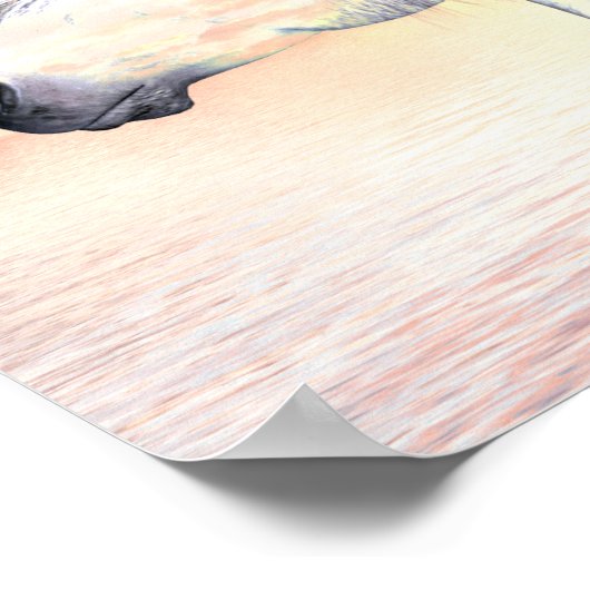 Appaloosa Poster (Ecke)