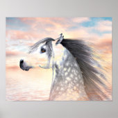 Appaloosa Poster (Vorne)