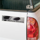 Appaloosa-Stellen R wir Autoaufkleber (Auf Lkw)