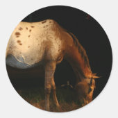 Appaloosa Stickers (Vorderseite)