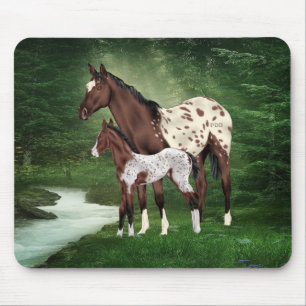 Appaloosa-Stute mit Fohlen Mousepad