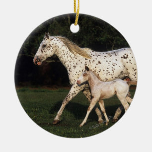 Appaloosa-Stute und Fohlen auf dem Gebiet Keramikornament