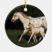 Appaloosa-Stute und Fohlen auf dem Gebiet Keramikornament (Hinten)