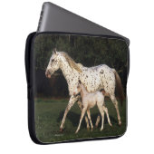 Appaloosa-Stute und Fohlen auf dem Gebiet Laptopschutzhülle (Vorne Rechts)