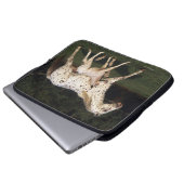 Appaloosa-Stute und Fohlen auf dem Gebiet Laptopschutzhülle (Vorne Knopf)