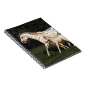 Appaloosa-Stute und Fohlen auf dem Gebiet Notizblock (Rechte Seite)