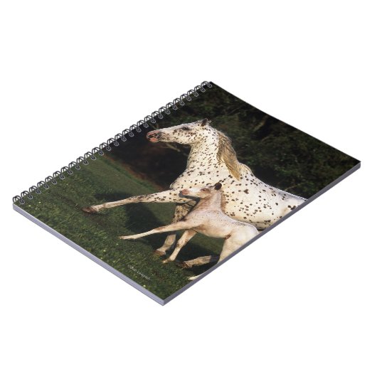 Appaloosa-Stute und Fohlen auf dem Gebiet Notizblock (Linke Seite)