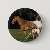 Appaloosa-Stute und Fohlen Button (Vorderseite)