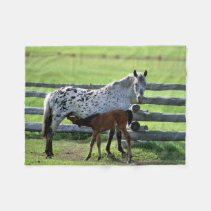 Appaloosa-Stute und Fohlen Fleecedecke