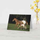 Appaloosa-Stute und Fohlen Karte (Gelbe Blume)