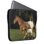 Appaloosa-Stute und Fohlen Laptopschutzhülle (Vorne Rechts)
