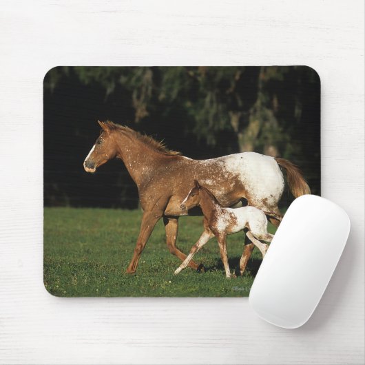 Appaloosa-Stute und Fohlen Mousepad (Mit Mouse)