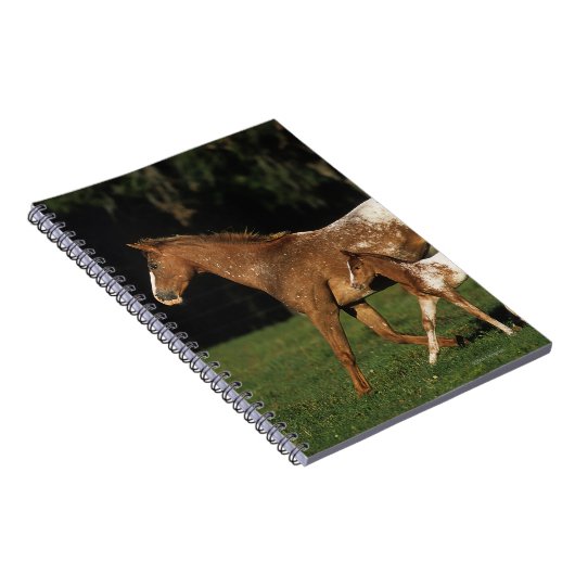 Appaloosa-Stute und Fohlen Notizblock (Rechte Seite)