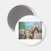 Appaloosa Winter Magnet (Vorderseite/Rückseite)