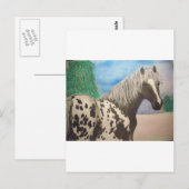 Appaloosa Winter Postkarte (Vorne/Hinten)