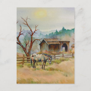 APPALOSA von SHARON SHARPE Postkarte