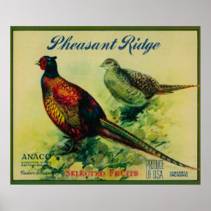 Appellettkiste für Fasan Ridge Poster