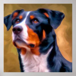Appenzeller Sennenhund - Dog Portrait Poster