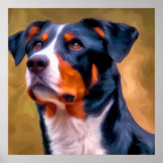 Appenzeller Sennenhund - Dog Portrait Poster (Vorne)