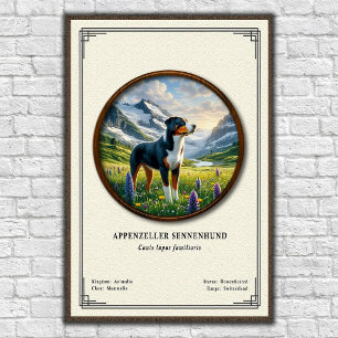 Appenzeller Sennenhund Zoologie-Serie Poster
