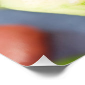 Appetizer Poster (Ecke)