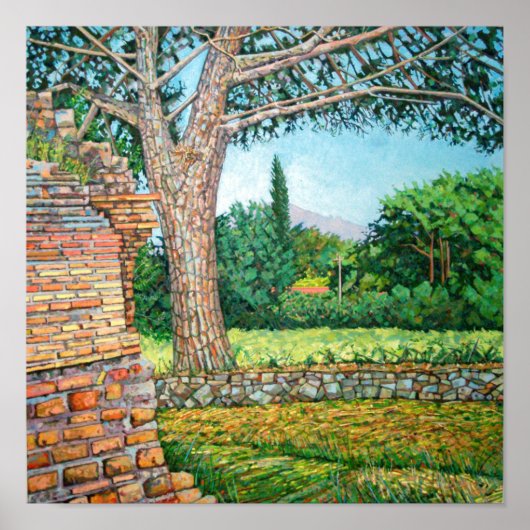 Appia Antica View 2008 Poster (Vorne)