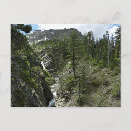 Appistoki Falls and Peak at Glacier National Park Postkarte (Vorderseite)