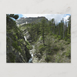 Appistoki Falls und Peak im Glacier National Park Postkarte