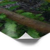 APPLE BANANA TREES BIG ISLAND HAWAII POSTER (Ecke)