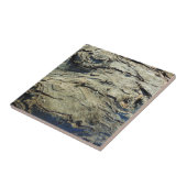 Apple-Baumrinde-Beschaffenheit Fliese (Seite)