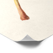 Apple Blätter (Malus Domestica) (1912) von James M Poster (Ecke)