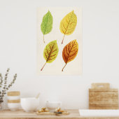 Apple Blätter (Malus Domestica) (1912) von James M Poster (Küche)