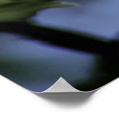 Apple Bloom Poster (Ecke)