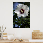 Apple Bloom Poster (Küche)