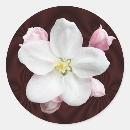 Apple Blossom ~ Aufkleber (Vorderseite)
