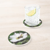 Apple Blossom & Bee Macro Photo | Sandstone Coaste Getränkeuntersetzer (Seite)