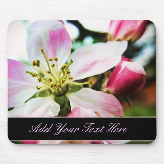 Apple Blossom Blume benutzerdefinierter Text Mouse Mousepad (Vorne)