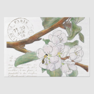 Apple Blossom Branch Bee Französisch Script Decoup Seidenpapier